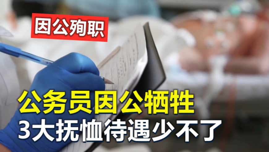 海尔总裁回应被雷军带火出圈,蓝月亮二四六开奖大全,作答解释落实的民间信仰_iosV12.36